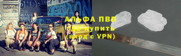 сатива Вяземский