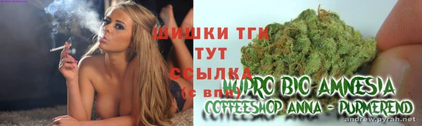 хмурый Сосновый Бор