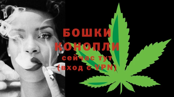 сатива Вяземский