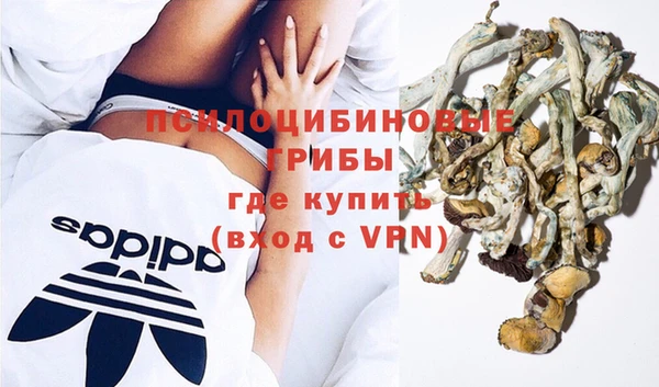 крисы Сосновоборск