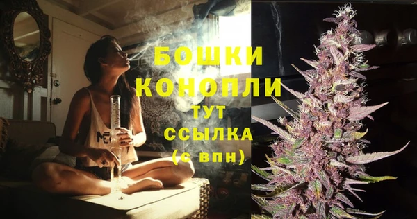 сатива Вяземский