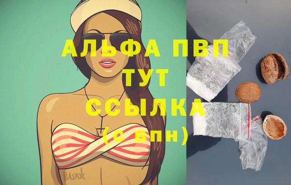 сатива Вяземский