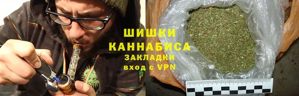 сатива Вяземский