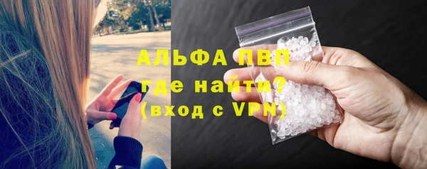 сатива Вяземский