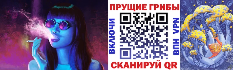 Псилоцибиновые грибы прущие грибы Канск