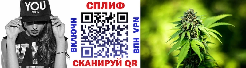 МАРИХУАНА конопля Канск